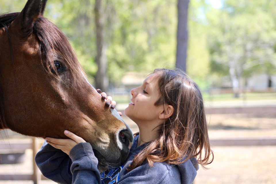 what I learned about parenting from a horse