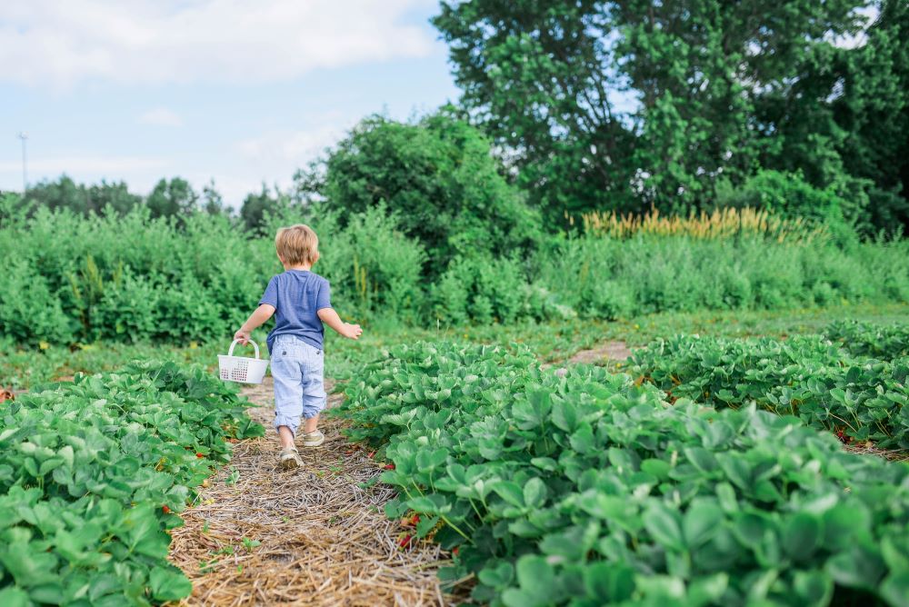 benefits of gardening