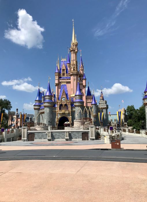 Disney, Magic Kingdom, Animal Kingdom, Relaxing Vacation